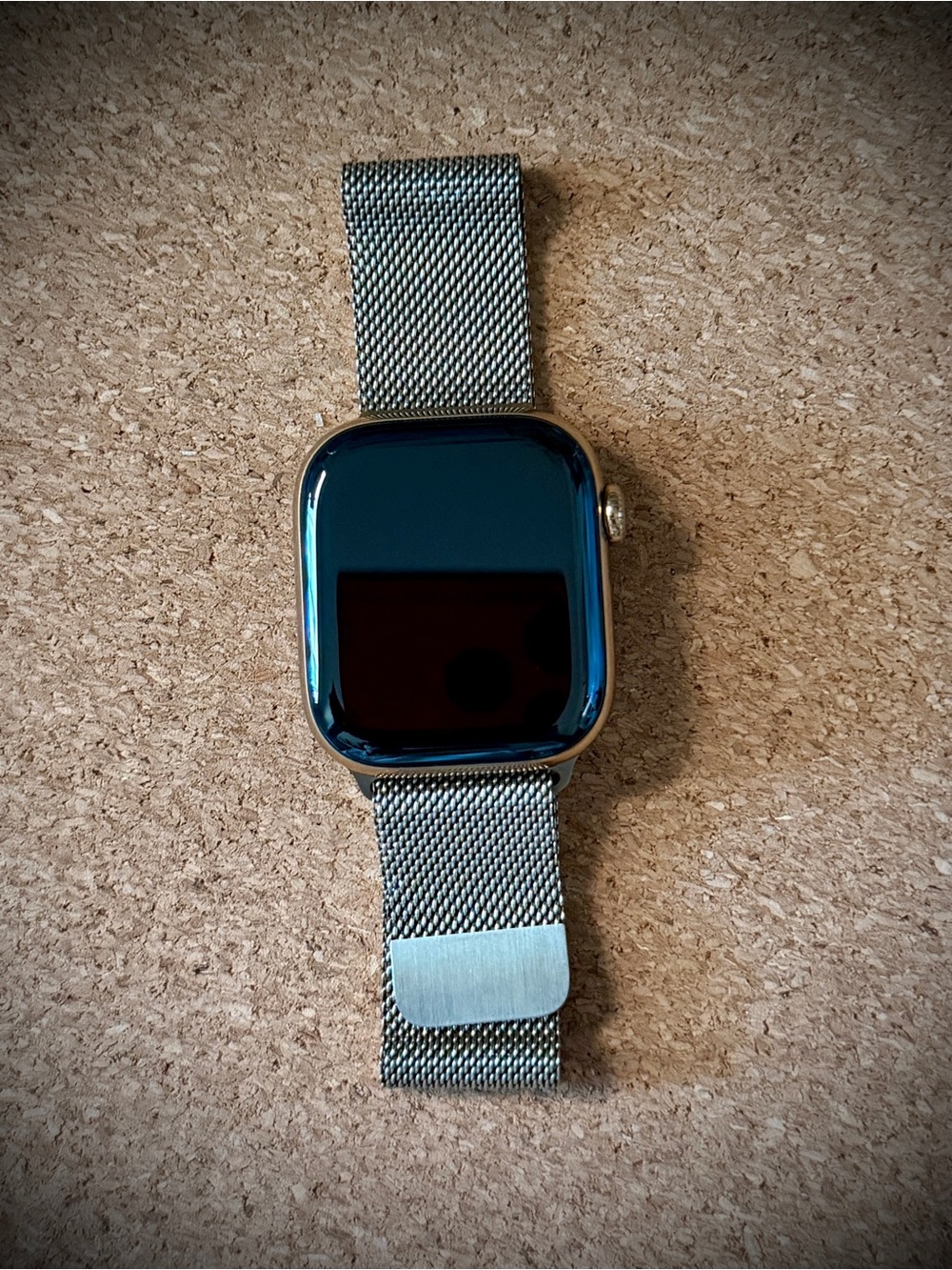 Apple Watch Series 10 has Titanium 42mm + Bands